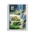 Caderno Espiral 1/4 Happy Capa Dura 96fls 20737-6 Credeal