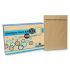 Envelope Saco Kraft Natural Kn32 229mmx324mm C/100 5541r