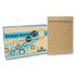 Envelope Saco Kraft Natural Kn25 176mmx250mm C/100 2097r